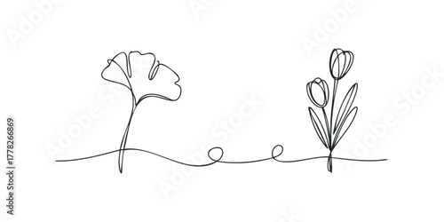 Continuous Line Drawing of Ginkgo Leaf and Tulips