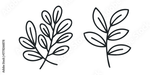 Line drawing of two branches with leaves