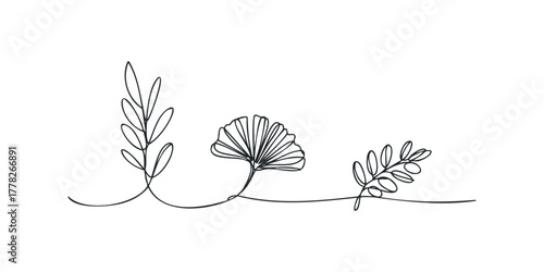 Continuous Line Drawing of Three Plant Sprigs