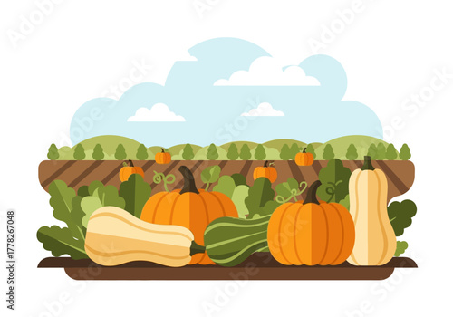 Flat illustration of a pumpkin patch harvest with squash and gourds foreground