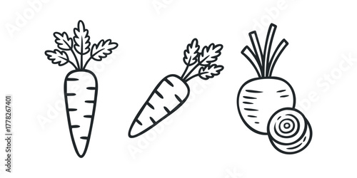 Hand drawn carrot and beet illustration on white
