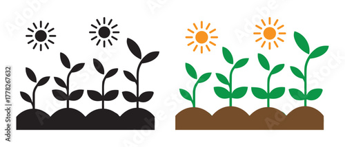 Sunlight vs Shade. Plant Growth Comparison Illustration for Education.