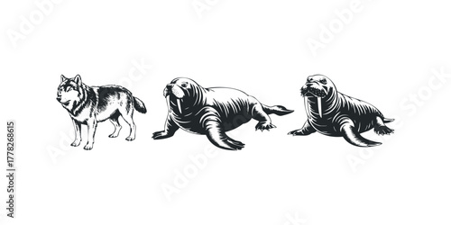 Wolf and two walruses depicted in dramatic black ink style