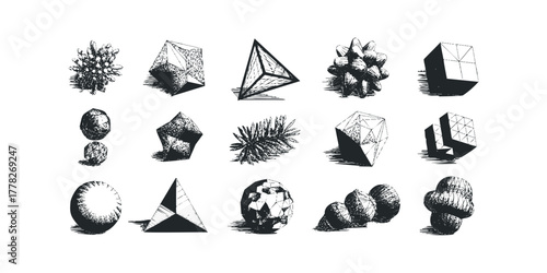 Collection of geometric abstract shapes and natural elements