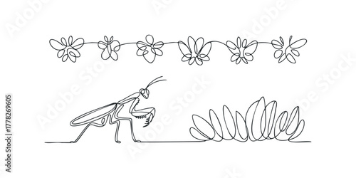 Praying mantis and abstract floral line art