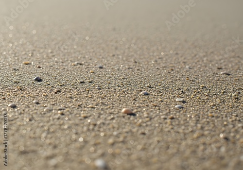 Wallpaper Mural Golden Grains of Beach: A close-up view of a vast expanse of golden beach, its textured surface glistening under the sun's gentle touch, with small pebbles scattered in a soft and inviting. Torontodigital.ca