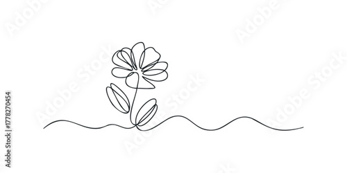 Single Line Drawing of a Daisy Flower Stem