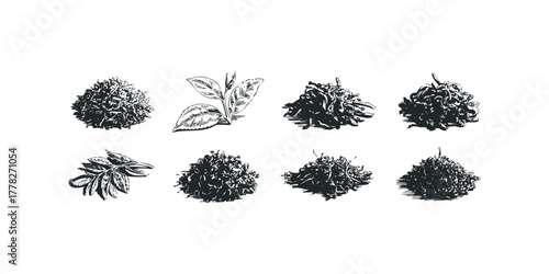 Various types of dry tea leaves and fresh tea sprigs