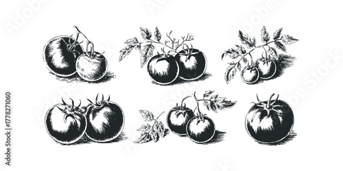 Six hand drawn tomatoes with leaves on white background