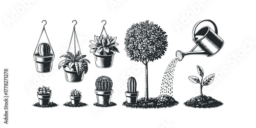 Potted plant collection with watering can and seedling
