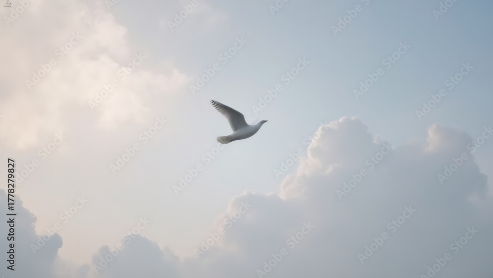 Fototapeta premium Seagull soars above clouds in a serene blue sky, conveying freedom.
