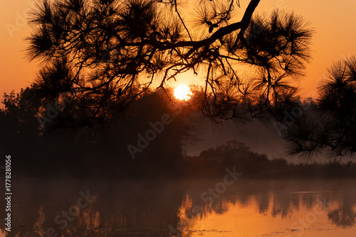 sunset on the lake