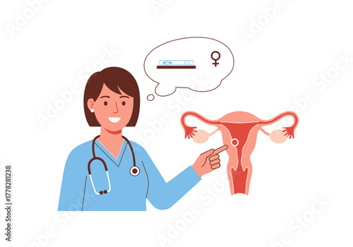 Doctor explains female reproductive system with uterus diagram. Suitable for medical presentations, educational materials, womens health websites.