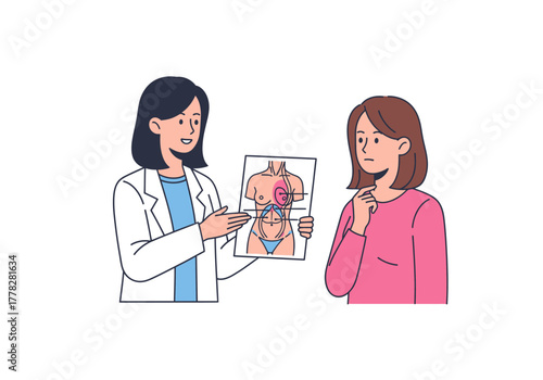 Doctor explaining human torso abdomen diagram to patient for medical consultation or educational purposes in healthcare settings or online resources.