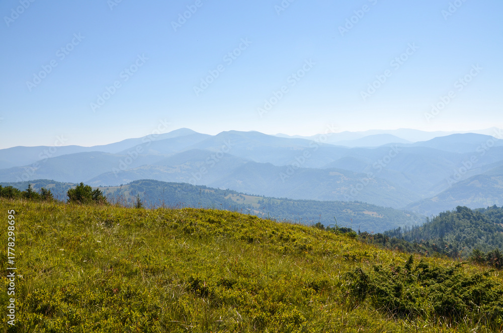 Obraz premium Tranquil mountain landscape with a sunlit meadow in the foreground, layered blue ridges in the distance, and a bright cloudless sky. Carpathian Mountains, Ukraine