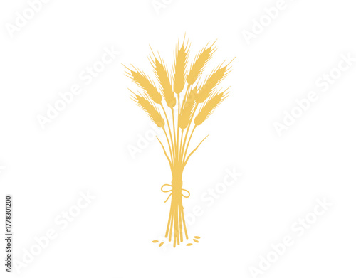 Wheat spikes set against a white backdrop

