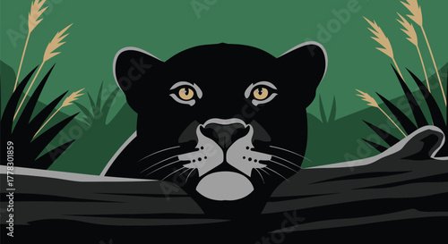 Black panther illustration vector art wildlife jungle animal feline vector