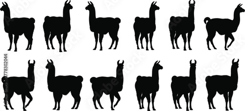 Llama silhouettes vector, black animal icons, South American camelid illustration, farm livestock design, wildlife symbols, decorative artwork, minimal style, side profile llamas set
