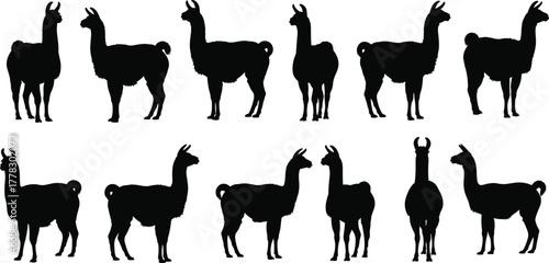Llama silhouettes vector, black animal icons, farm livestock illustration, South American camelid design, wildlife symbol, minimal artwork, side profile llamas, decorative graphic set