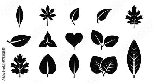 Vector leaves icon set collection leaf shapes botanical foliage art vector