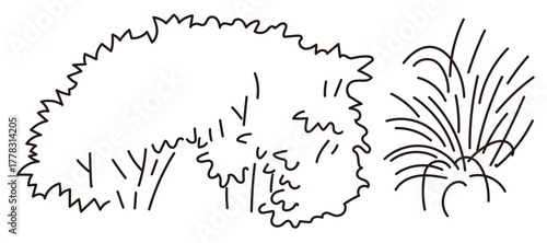 外構・庭植栽のベクターイラスト