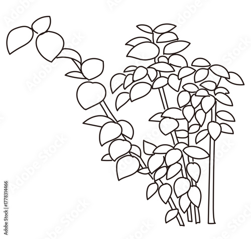 外構・庭植栽のベクターイラスト