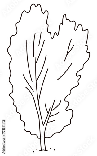 外構・庭植栽のベクターイラスト