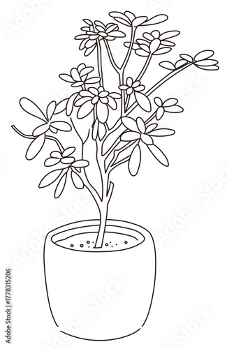 外構・庭植栽のベクターイラスト