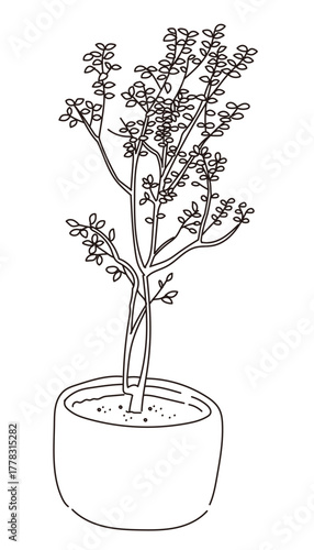 外構・庭植栽のベクターイラスト