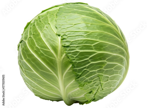 Fresh green cabbage head with vibrant leaves, ready for healthy cooking and salads.