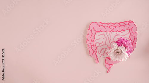 Photos intestine shape with flower, healthy bowel digestion, leaky gut, probiotic and p