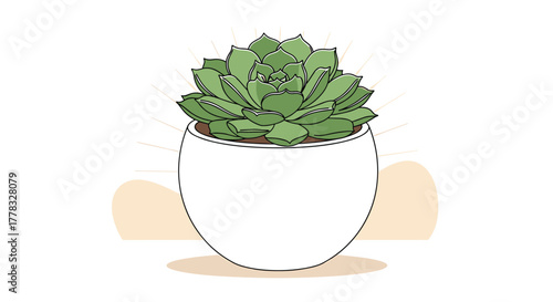 A stylish, illustrative depiction of a succulent plant in a white round pot, set against a bright, clean background with subtle light rays.