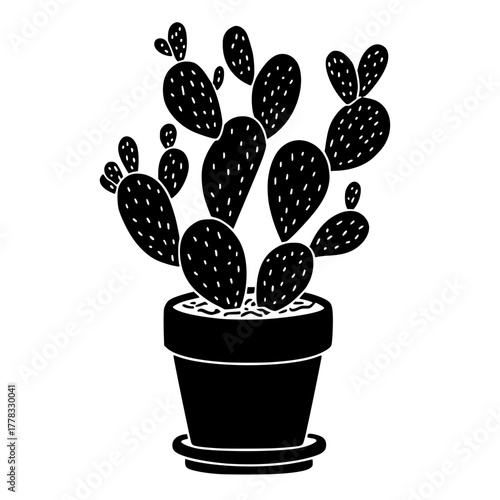 Silhouette Person Taking with Camera