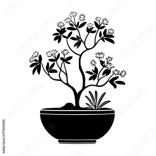 Silhouette Guitar Player Against Text Background