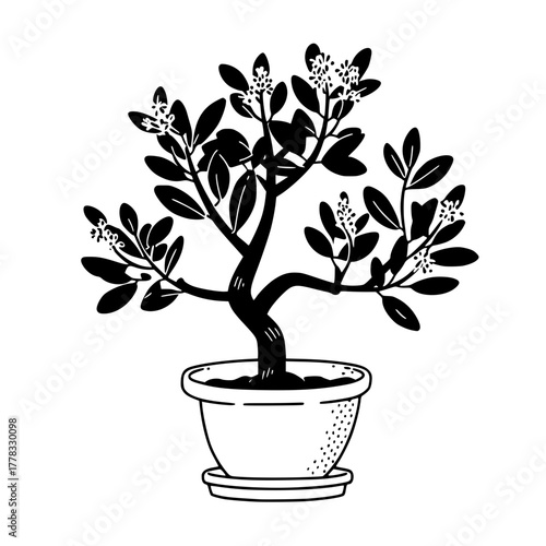 Silhouette Dynamic Jumping Dancer Motion