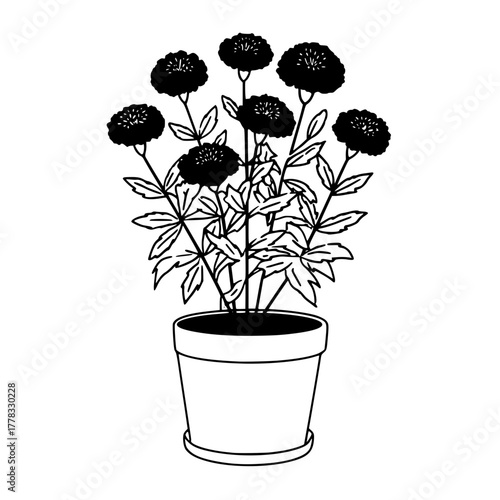 Silhouette Person Against Vibrant Sunset Sky