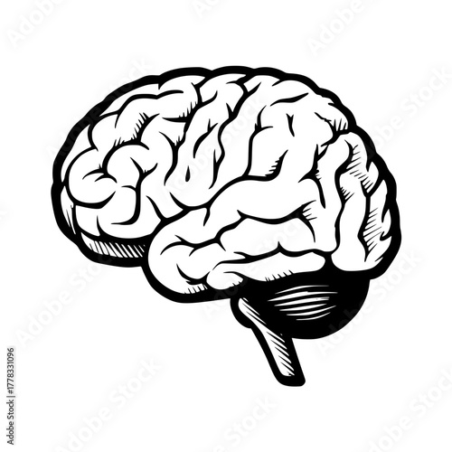 Minimalist Black Line Illustration Human Face Profile