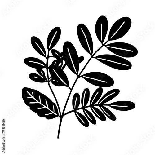 Silhouette Sitting Cat Against Black Background