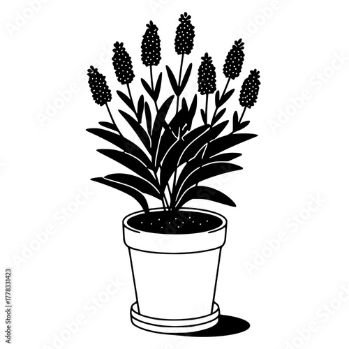 Cartoon Skull Illustration Black Background