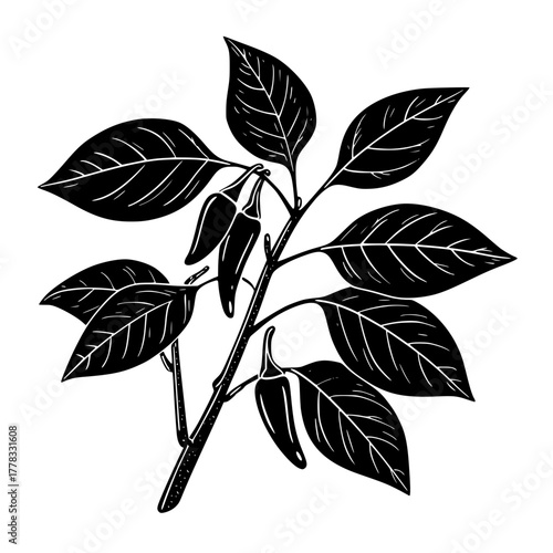 Minimalist Blackandwhite Human Skull Line Drawing