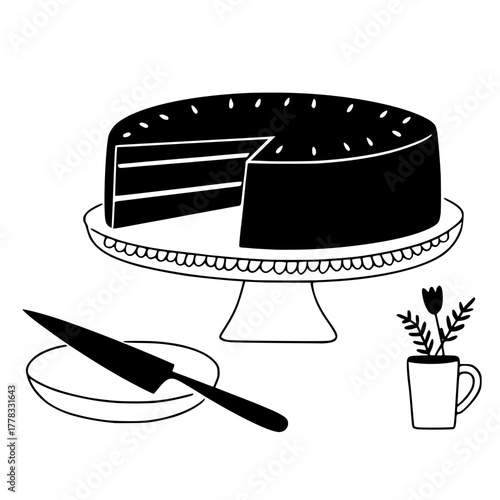 Silhouette Viewing Vibrant Light Display