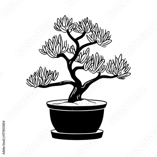 Black and White Ornamental Skull Illustration