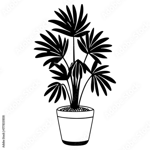 Black and White Silhouette Sitting Cat