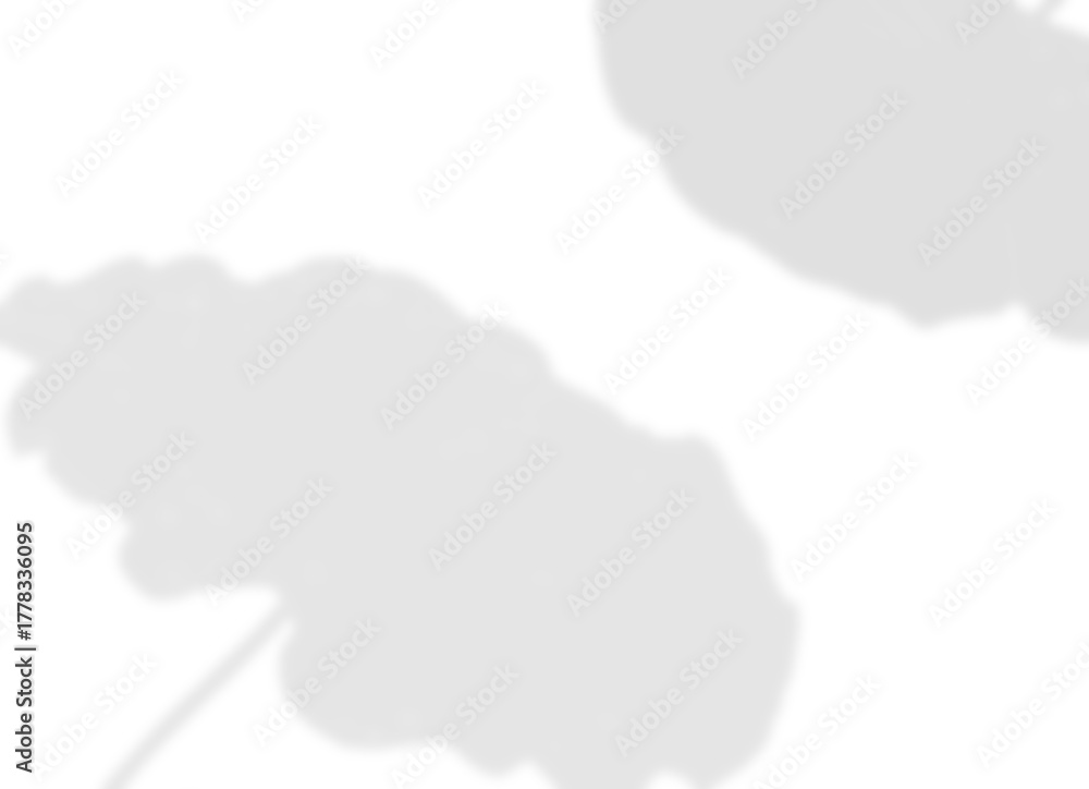 Obraz premium Cluster Bud and Foliage Shadow Overlay