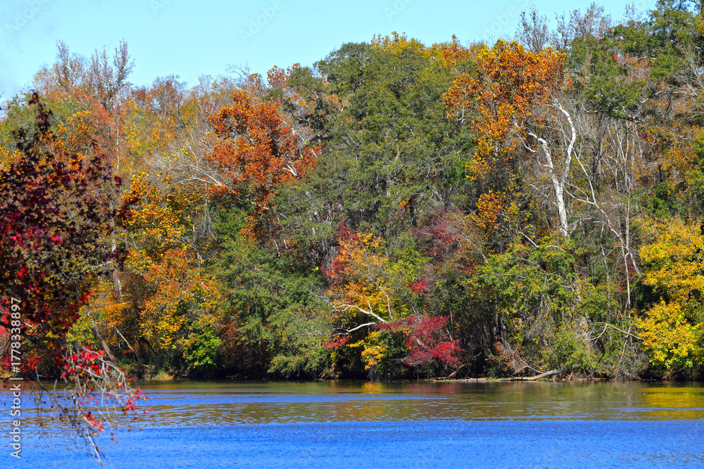 Obraz premium Fall colors reflecting on the Catawba River at Landsford Canal State Park, SC. 