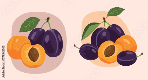 Two delightful illustrations featuring fresh purple plums and ripe orange apricots, with one apricot halved to showcase its seed.
