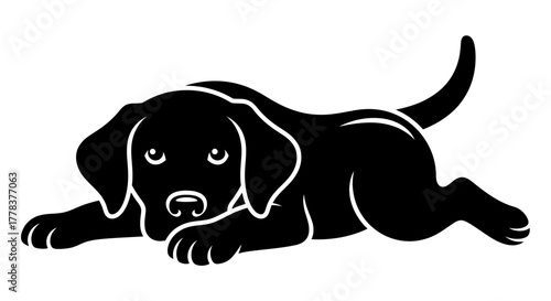 Black labrador retriever puppy dog lying down vector illustration