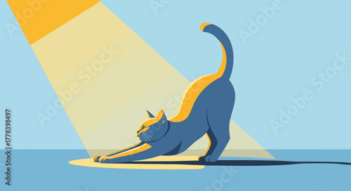 Cat stretching in sunlight, a moment of feline grace.