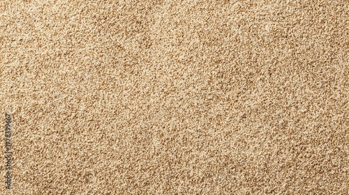 A close-up view of a textured surface resembling fine sand, showcasing a light beige color and a soft, granular appearance.