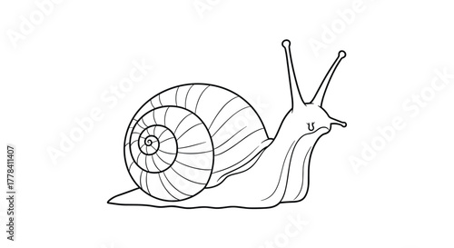 A simple black and white line drawing illustration of a garden snail with its coiled shell and extended eyestalks.